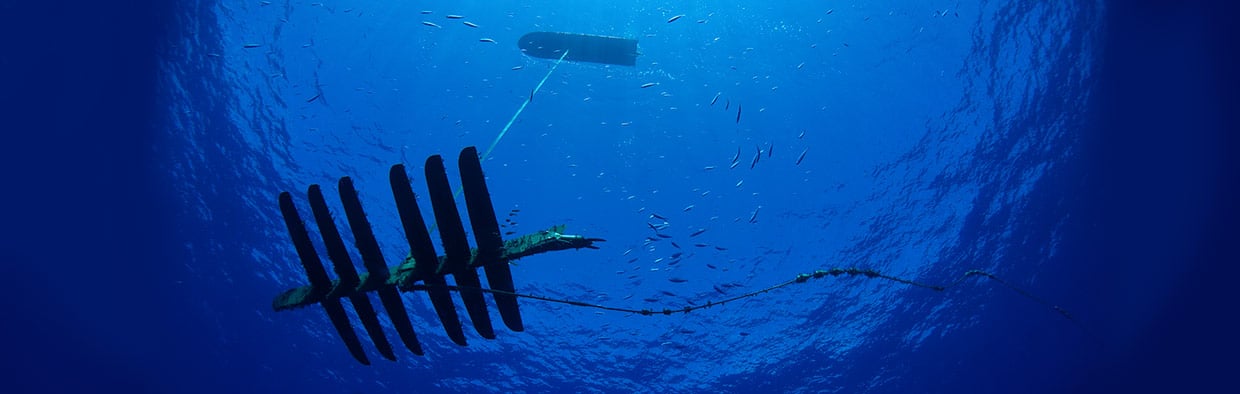 LP_Underwater_1240x394.jpg