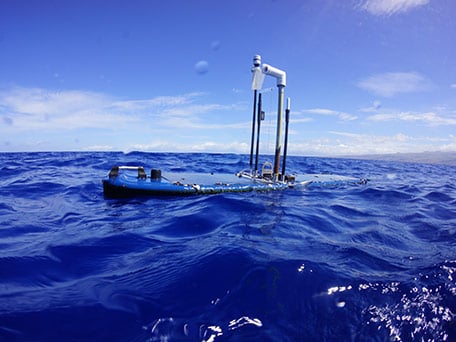 Wave Gilder swims home to Hawaii