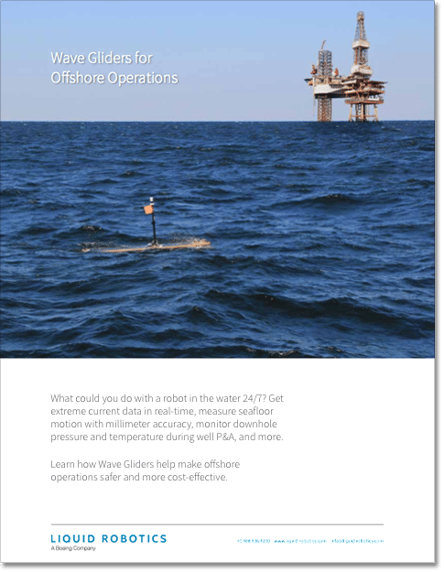 Offshore operations essay picture